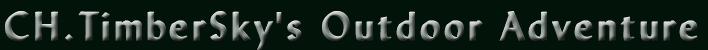 but_name_scout.jpg (6627 bytes)