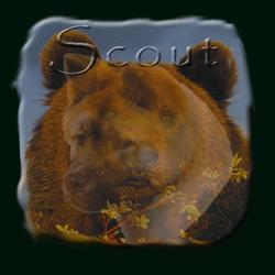 scout_logosm.jpg (8422 bytes)
