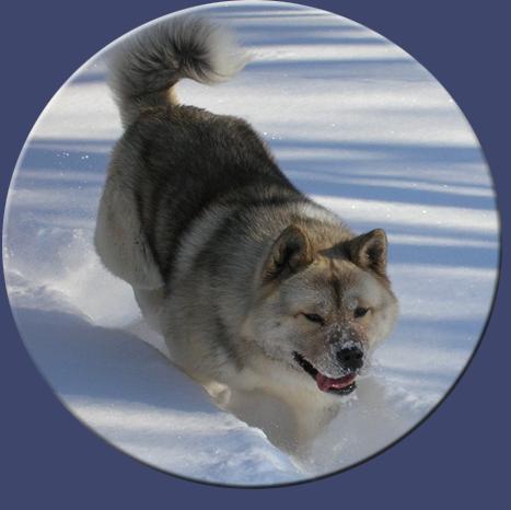 stoney_snow.jpg (22482 bytes)