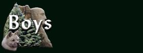 but_new_boys.jpg (3658 bytes)