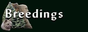 but_new_breedings.jpg (4733 bytes)