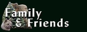 but_new_ff.jpg (5182 bytes)