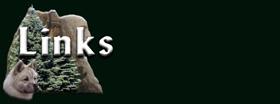 but_new_links.jpg (3768 bytes)