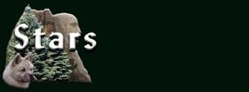but_new_stars.jpg (3701 bytes)