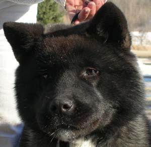 snugs_5moho.jpg (13128 bytes)