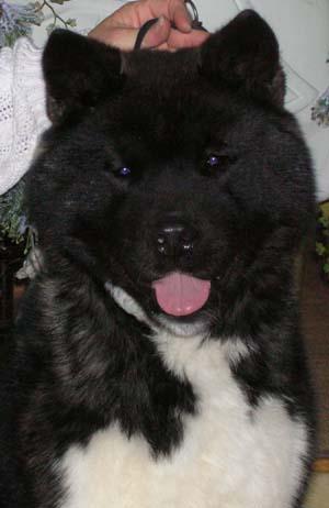 snugs_5moif.jpg (17526 bytes)