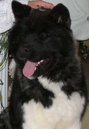 snugs_5mois.jpg (17309 bytes)